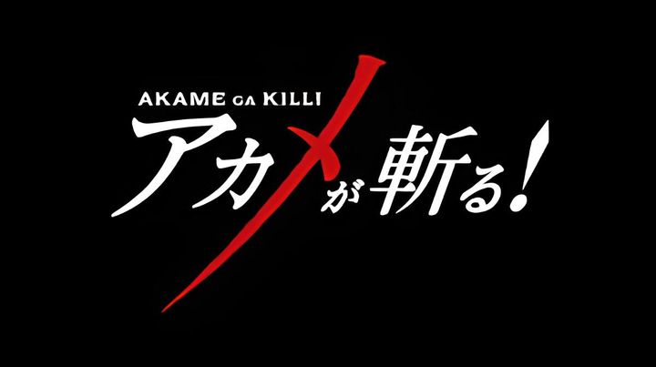 Akame Ga Kill! Character